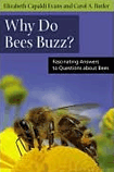 Why Do Bees Buzz?