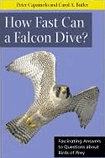 How Fast Can a Falcon Dive?